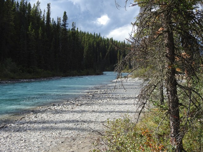 Campground Bow River