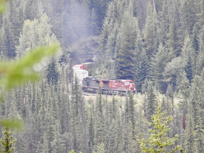 Kicking Horse Spiral Tunnels1