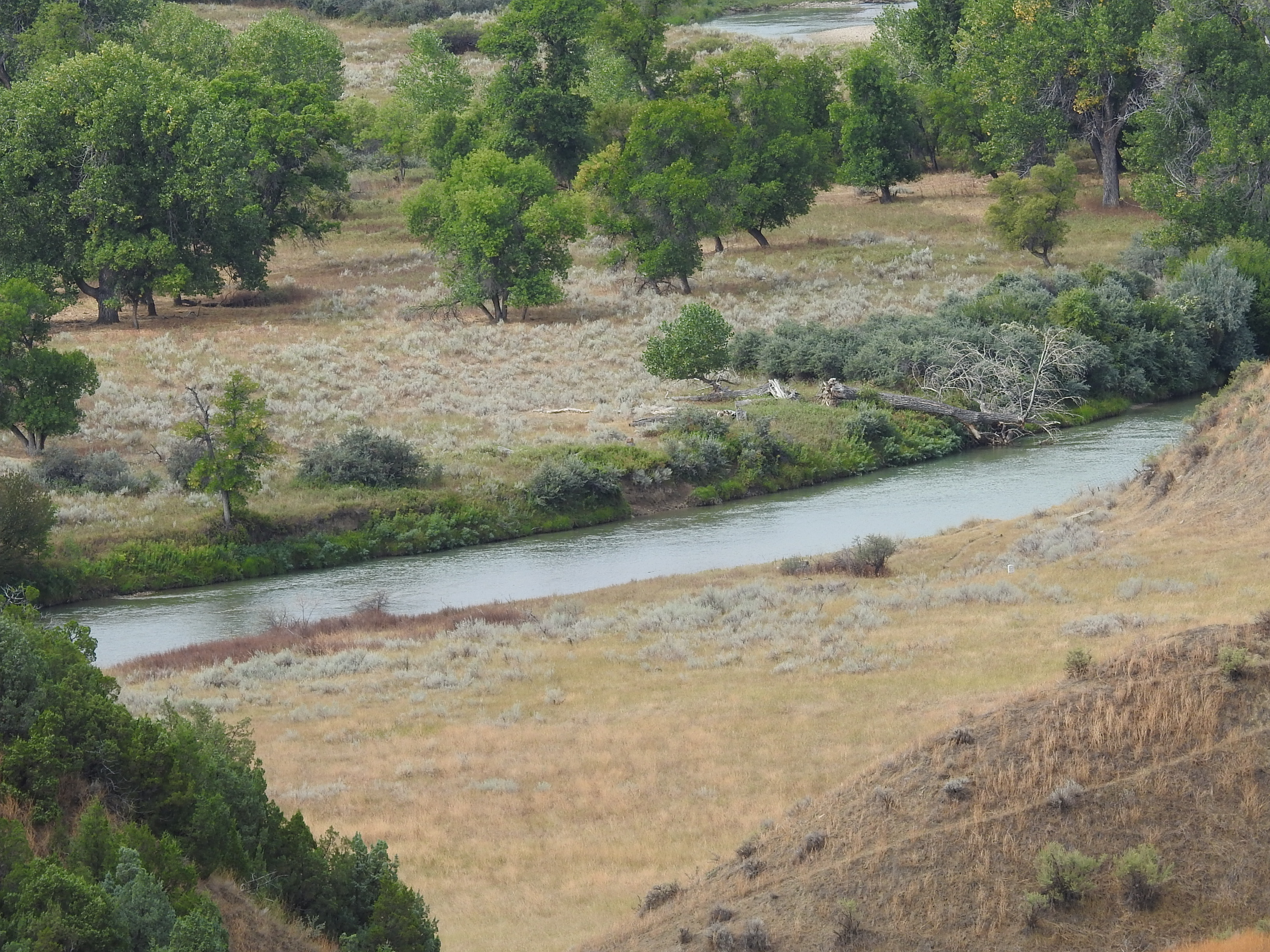 Where Reno was chased across